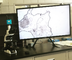 Plant Lab - Microsc HD camera